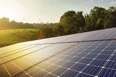 solar panels and green nature, renewable energy. sustainable energy to businesses, homes, and smart city. new generation of power. clean and environmental friendly.